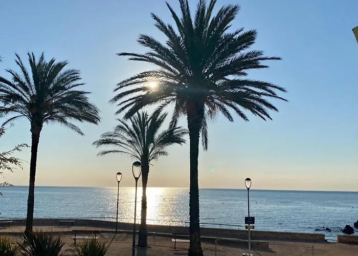 Fully Equipped Beachfront Studio In The Heart Of The City Center Bd Leclerc