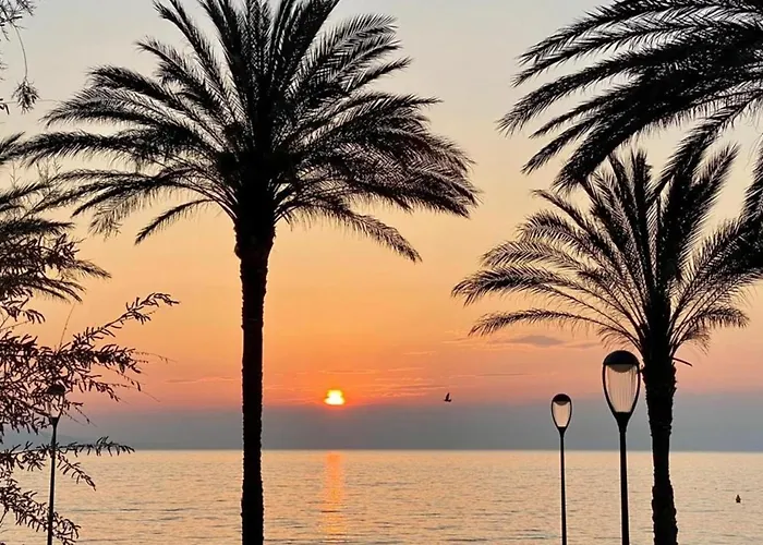 Fully Equipped Beachfront Studio In The Heart Of The City Center Bd Leclerc